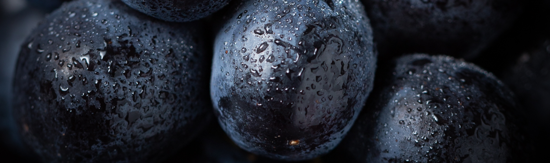 set-grapes - cópia