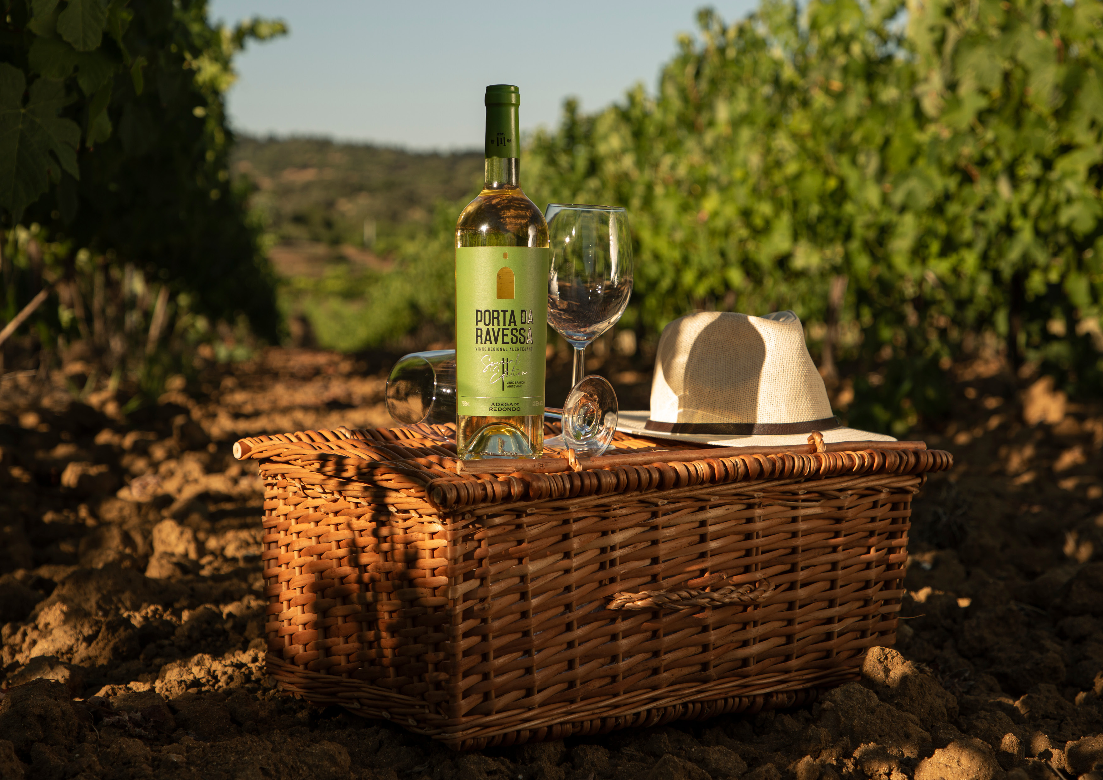 Revista Vinícola Basso 2025.268