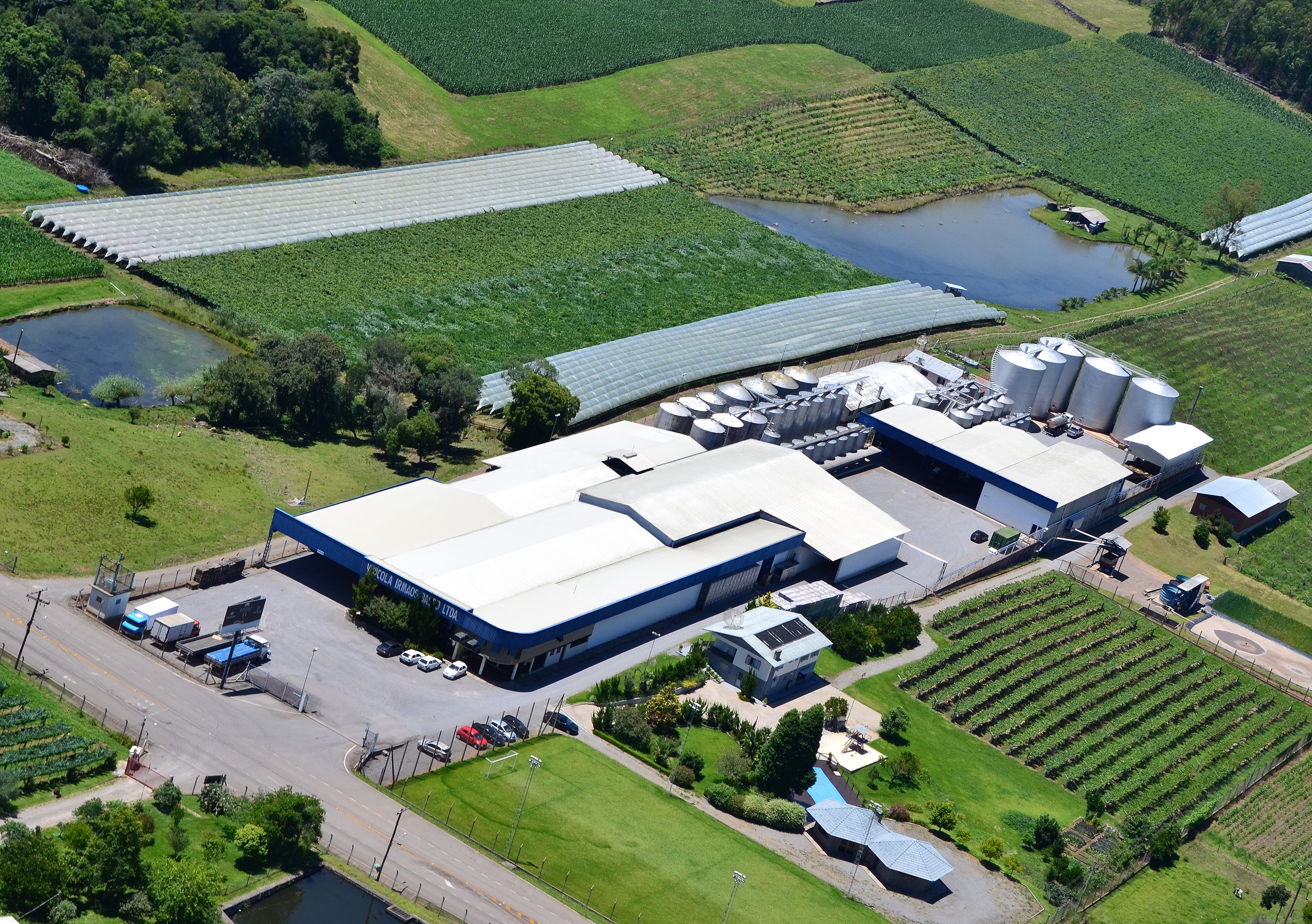 FOTO VINÍCOLA BASSO JAN_2017