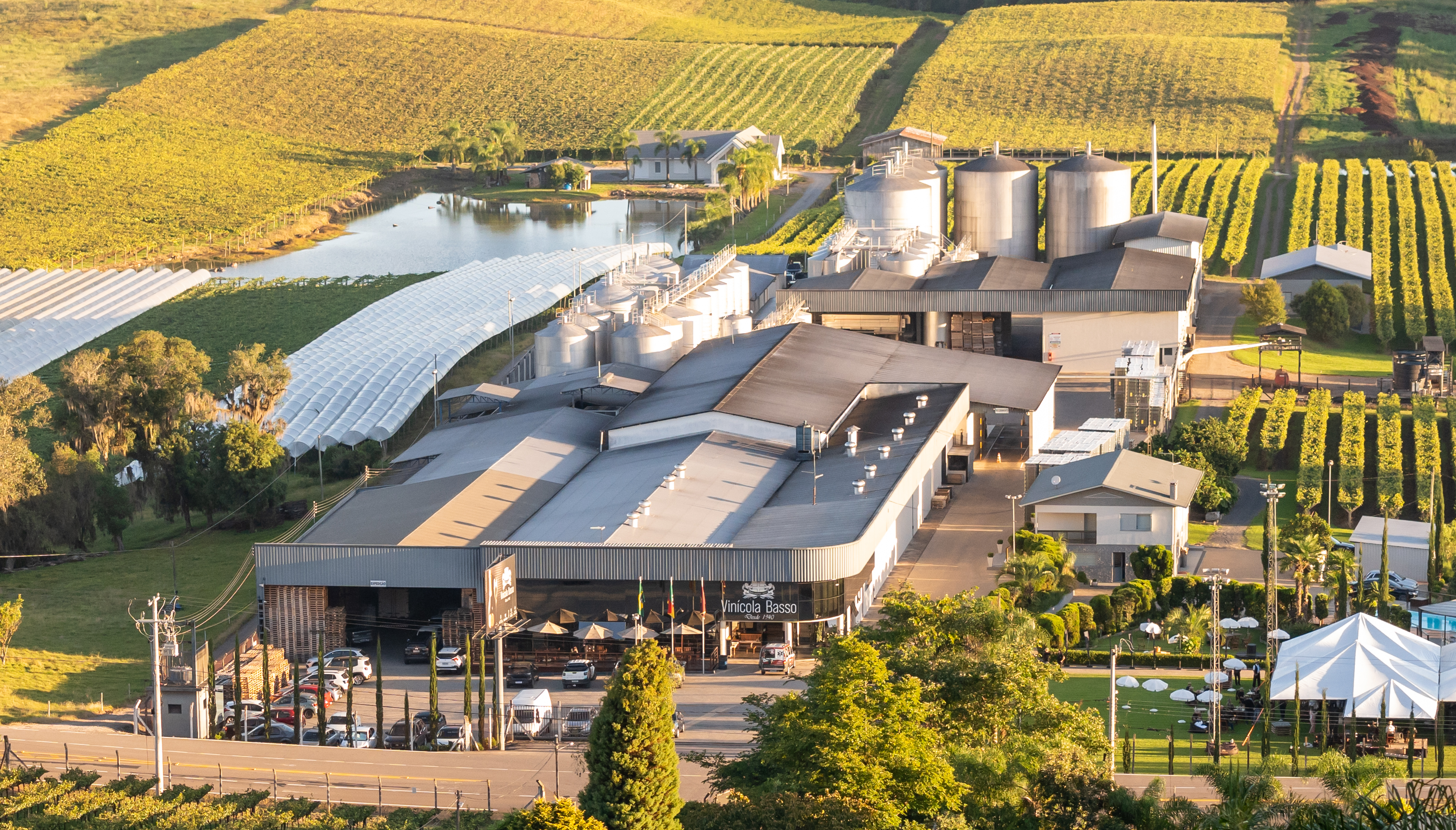 Vinícola Basso 2025